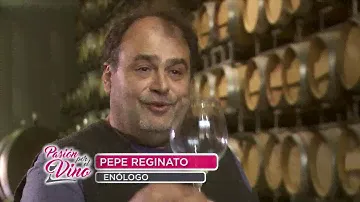 Pepe Reginato (Espumantes)-PASIÓN POR EL VINO (Programa 7 Bloque 1 Temporada 3)