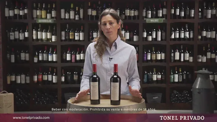 Hablemos de Vinos: Pamela Alfonso nos presenta la  Línea ALTAVISTA Single Vineyard