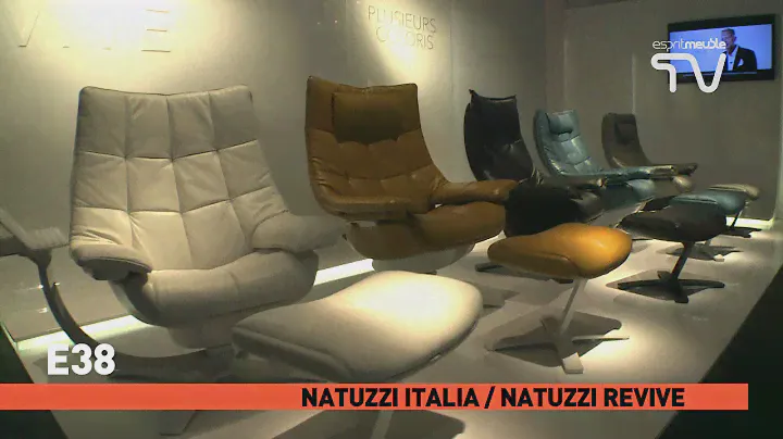 02 NATUZZI ITALIA   NATUZZI REVIVE E38
