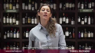 Experimenta Cabernet: ALTAVISTA CLASSIC Cabernet Sauvignon es presentado por Pamela Alfonso